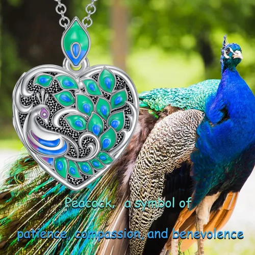 Vista 6 de SOULMEET Collar con medallón de búho de sabiduría en forma de corazón, colibrí, pavo real, pájaro cardenal que sostiene fotos de fotos, joyería