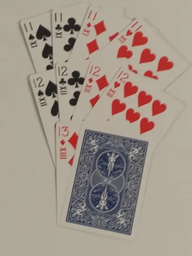 Vista 3 de Bicycle Baraja de 500 cartas de seis manos