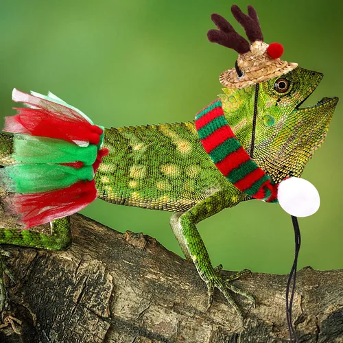 Vista 7 de 3 piezas de sombrero de Papá Noel de dragón barbudo de Navidad con bufanda, sombrero de Navidad ajustable colorido ropa de Navidad, accesorio