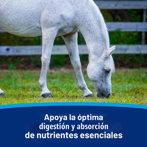 Vista 6 de Farnam Los caballos en jeringa con pasta probiótica ayudan al equilibrio El suplemento de salud digestiva e inmunológica de entrega rápida apoya un