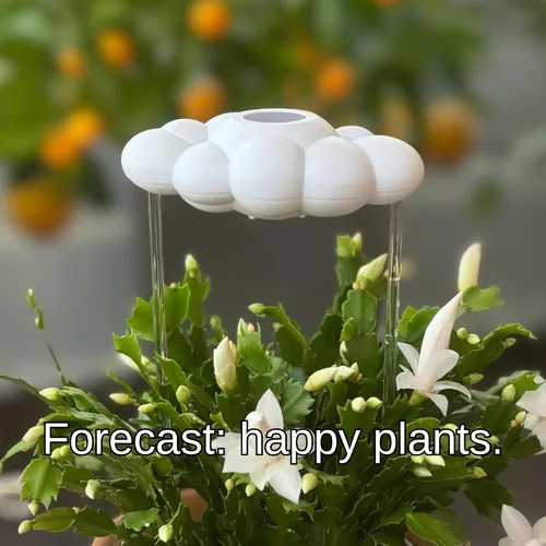 Vista 5 de La Nube Original de Lluvia Goteante para Plantas, Nube de Lluvia para Riego de Plantas, Regalos para Amantes de las Plantas, Regalos para Mujeres