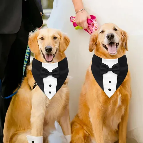 Vista 4 de GOYOSWA Traje de esmoquin para perro, collar bandana de boda con pajarita, ajustable, formal, esmoquin para perros, compromiso, cumpleaños, esmoquin
