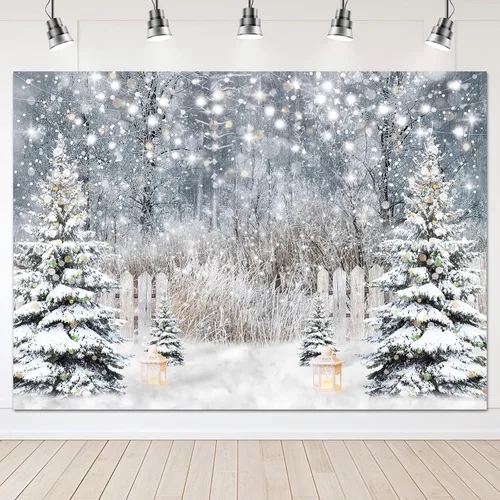 Vista 10 de Avezano Telón de Fondo de Fotografía de Invierno Purpurina Bosque Nevado Pino Árbol Fondo Nieve Navidad Xmas Fiesta de Vacaciones Decoración