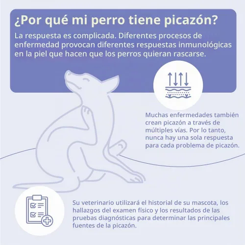 Vista 6 de MiconaHex+Triz Champú para perros, gatos y caballos, galón