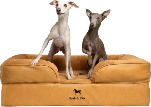 Vista 26 de NOAH & PAW Cama para perros pequeños, 20 x 15 x 8 pulgadas, cama para gatos de interior, espuma viscoelástica ortopédica de cáscara de huevo