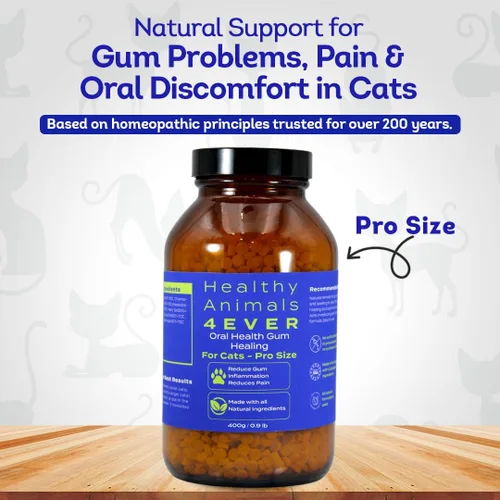 Vista 3 de HA4E - Salud oral para gatos - Alivia la inflamación, alivia el dolor y combate las enfermedades de las encías, natural, sin OMG, orgánico, sin