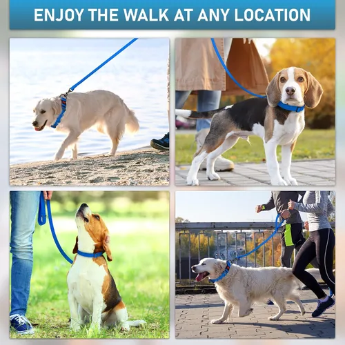 Vista 5 de Correa impermeable para perro, resistente de 6 pies, fabricada en Estados Unidos, color azul