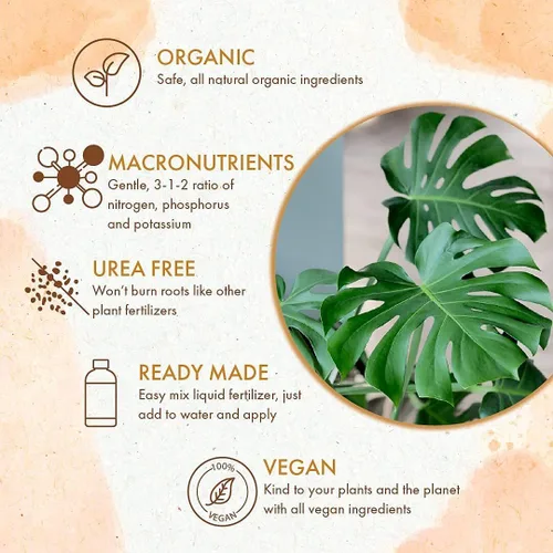 Vista 3 de Monstera Plant Food - Fertilizante líquido orgánico para plantas Monstera de interior y exterior, nutrientes para hojas tropicales saludables