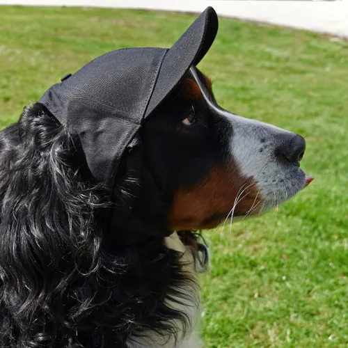 Vista 3 de Littlearth Unisex NHL Pet Baseball Hat