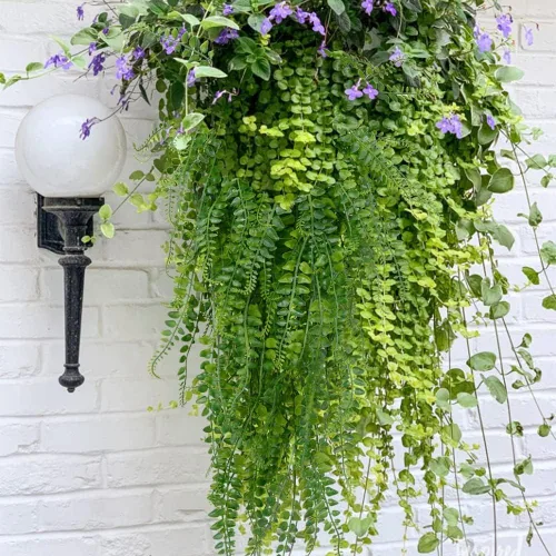 Vista 6 de Plantas colgantes artificiales, paquete de 2 helechos colgantes falsos, hiedra falsa, helecho de Boston, plantas colgantes al aire libre resistentes