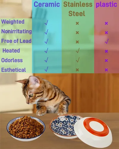 Vista 7 de Paquete de 3 cuencos antideslizantes para gatos, cuencos de cerámica para gatos que no se derraman, juego de platos de 5.5 pulgadas para gatos