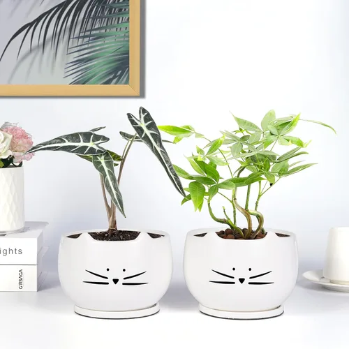 Vista 5 de Koolkatkoo Juego de 2 macetas de cerámica para gatos de 6 pulgadas con agujero de drenaje y platillo para plantas de interior y exterior, grande