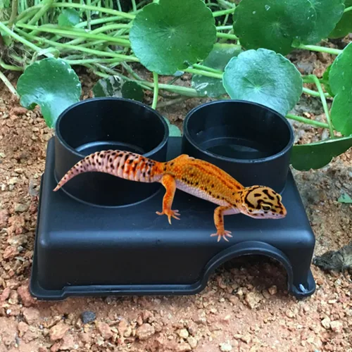 Vista 5 de Reptile Feeder Bowl with Split Use PP Black for Small Pets