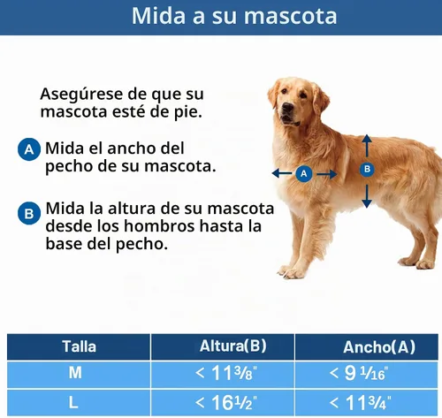 Vista 5 de CEESC Puerta Grande para Perros para Mascotas de Hasta 100 lb, Puerta para Mascotas Resistente a la Intemperie para Gatos y Perros, Duradera, Panel