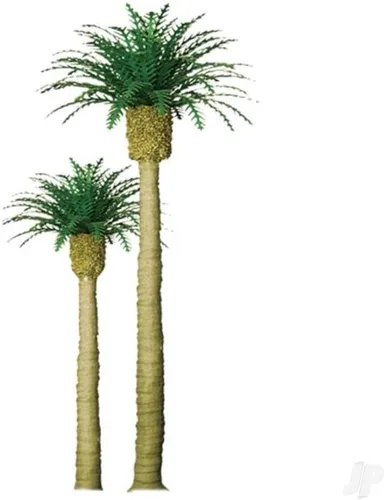 Vista 2 de Serie profesional: Phoenix Palm, 4