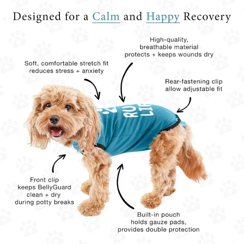 Vista 4 de Traje de Recuperación Quirúrgica BellyGuard para Perros, Mameluco para Perros para Cuidado Post-Operatorio, Ropa de Recuperación para Perros Hembra