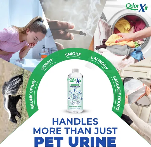 Vista 3 de Eliminador concentrado de olores de orina de mascotas, ideal para gatos, perros y olor a orina, neutralizador de olores versátil y natural para uso