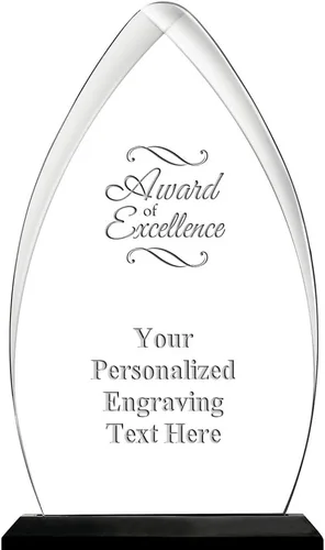 Vista 33 de Crown Awards Premio acrílico personalizado de 9.25 pulgadas de Gateway Skyline