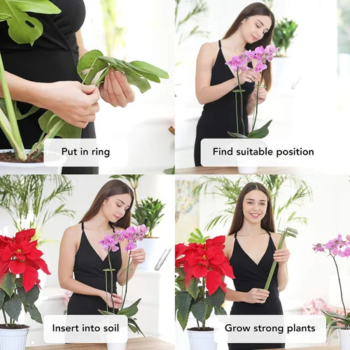 Vista 5 de Paquete de 2 estacas para plantas Soportes para plantas y flores altas Estacas verdes para jardín Ayuda a que tus flores crezcan Jaulas