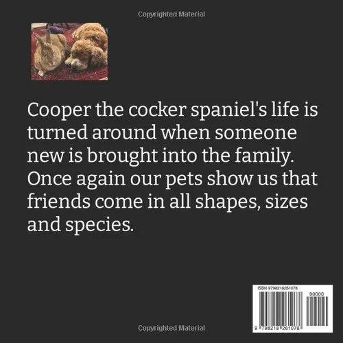 Vista 2 de Cooper's New Challenge (Cooper's Challenge)