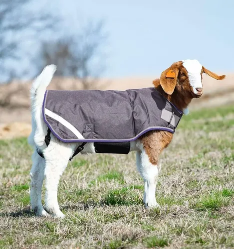 Vista 3 de Horseware Ireland RAHG21-JISK - Abrigo de cabra Excalibur/plateado, XL
