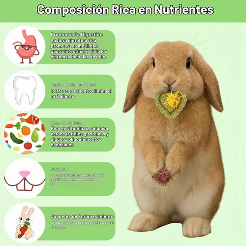 Vista 4 de Timothy Heno, 40 unidades de juguetes de conejo para aburrimiento, hechos a mano, conejillo de indias, masticables de chinchilla para dientes
