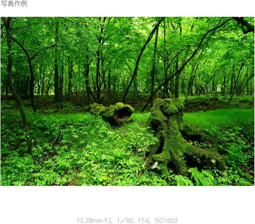 Vista 7 de Sony SEL28F20 FE 28 mm f/2 – 22 lente estándar-prime para cámaras sin espejo