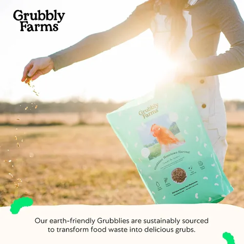 Vista 8 de Grubbly Farms Grubblies - Larvas de mosca soldado negro para pollos - Golosinas de pollo cultivadas en los Estados Unidos y Canadá - para cáscaras