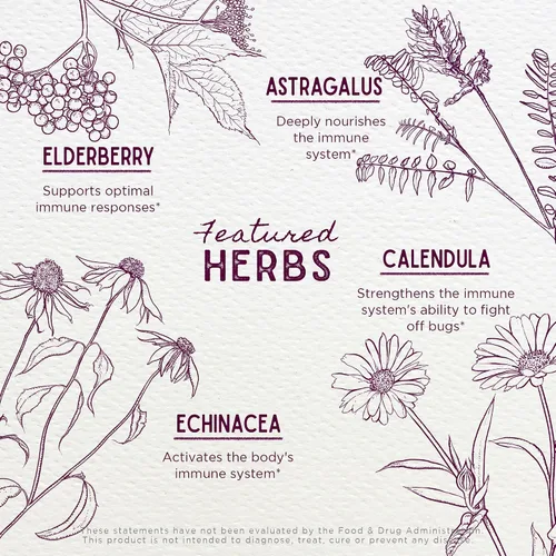 Vista 4 de WishGarden Herbs Daily Immune for Kids - Fórmula diaria de apoyo inmunológico para niños, defensa inmunológica a base de hierbas y refuerzo