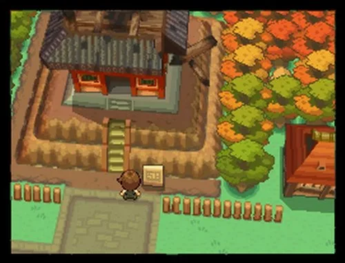 Vista 9 de Pokemon HeartGold Version - Limited Edition - Nintendo DS