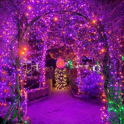 Vista 6 de weillsnow Luces de Halloween Moradas y Naranjas, 200 LED 66 Pies con Enchufe Luces de Cadena de Halloween Impermeables, 8 Modos con Memoria