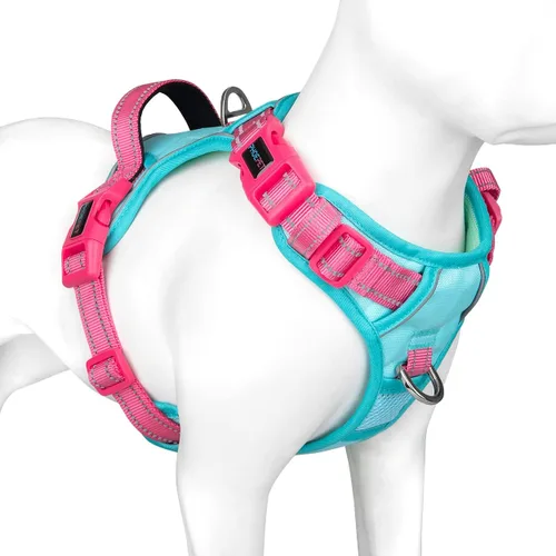 Vista 35 de Arnés para perro sin tirones, chaleco para perro reflectante ajustable de colores únicos, con asa de entrenamiento suave y clips de metal