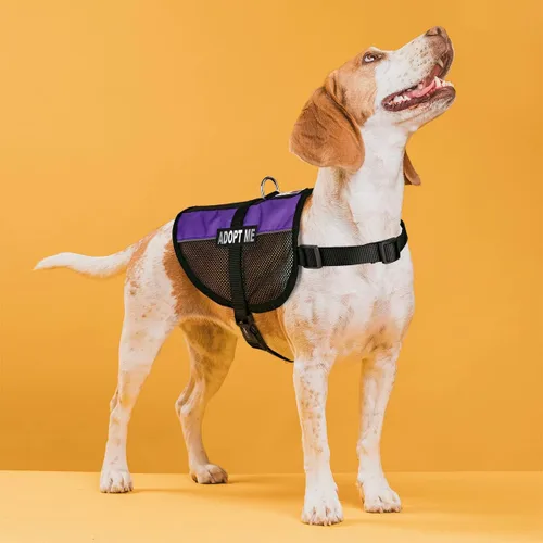 Vista 33 de Dogline MaxAire - Chaleco de malla para perros de 13 a 16 pulgadas y 2 parches extraíbles Adopt Me, talla S, color negro