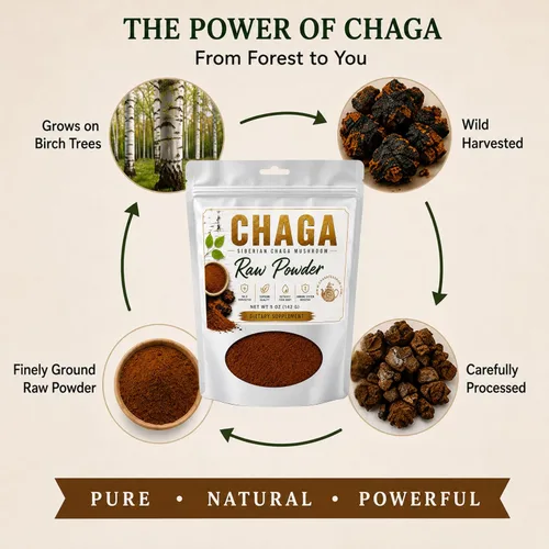 Vista 7 de Polvo crudo de hongos chaga siberianos cosechado silvestre totalmente natural, 5 onzas (5.01 oz.)