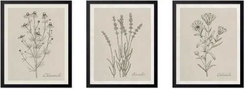 Vista 70 de Poster Master Póster botánico vintage de 3 piezas, estampado floral retro, regalo para artistas, amigos, flores de acuarela, brillante, azul