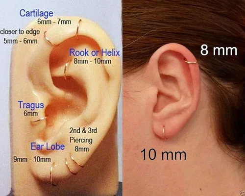 Vista 6 de Juego de 8 aretes de aro de acero inoxidable quirúrgico para dormir cartílago Daith pequeños aretes de aro pequeños de plata para septum