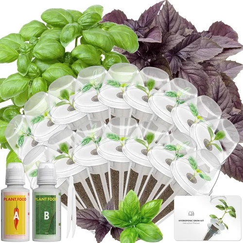 Vista 7 de Hydroponics - Vaina de semillas con albahaca genovesa y albahaca morada, kit completo de 8 cápsulas con esponja, canasta, cúpula, etiqueta