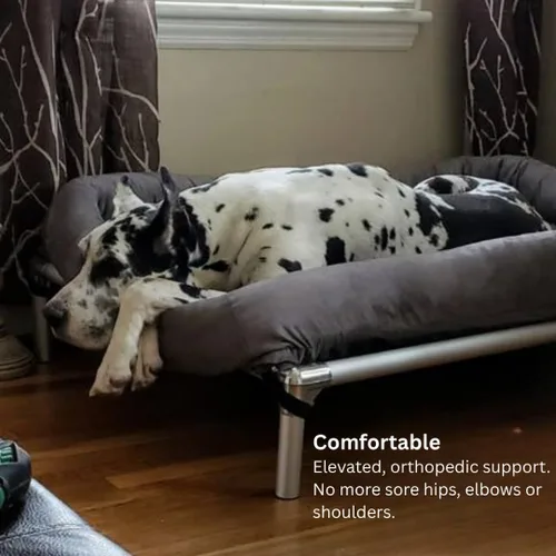Vista 4 de Cama para perro Kuranda, a prueba de mordidas, de aluminio (plata), 40 onzas, vinilo sólido, Azul Royal Real