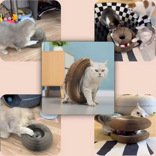 Vista 6 de Juguetes para gatos, órgano mágico tabla de rascador para gatos, juguete de acordeón compacto para gatos, juguetes de almohadilla de rascador
