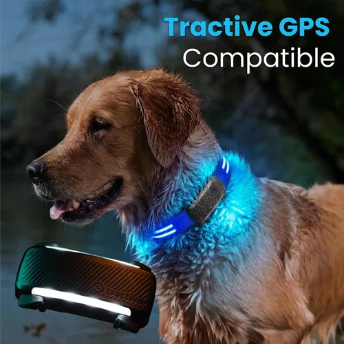 Vista 5 de Tractive Collar de perro con luz LED recargable USB impermeable (azul)