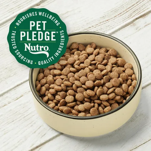 Vista 6 de Nutro Max Senior - Alimento seco para perros con pollo criado en granja, bolsa de 25 libras