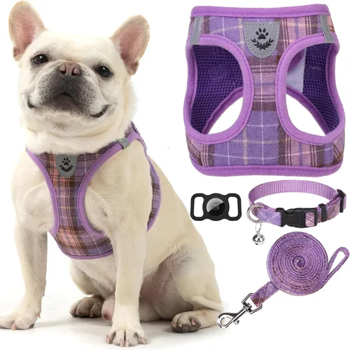 Vista 9 de Arnés para cachorros de otoño de Acción de Gracias - Collar y correa para perro - Arnés de chaleco para perros pequeños de malla suave acolchada