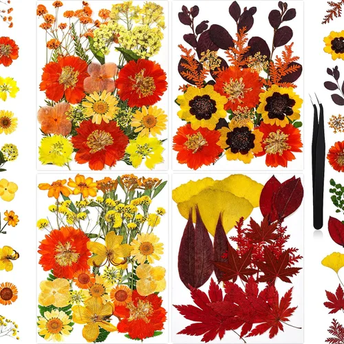 Vista 18 de 100 piezas de flores prensadas secas de hortensias para manualidades de Hortensia 100pcs