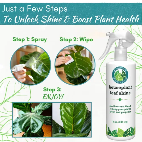 Vista 5 de Houseplant Leaf Shine Spray – Limpiador de hojas totalmente natural y brillo para un brillo saludable y una mejor fotosíntesis Perfecto
