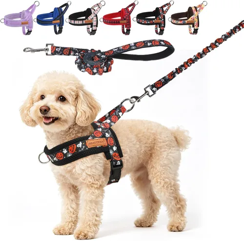 Vista 40 de BEAUTYZOO Arnés para Perros Pequeños, Juego de Arnés y Correa sin Tirones, Arnés de Pecho para Cachorros a Prueba de Escapes con Mango, Arnés Beige