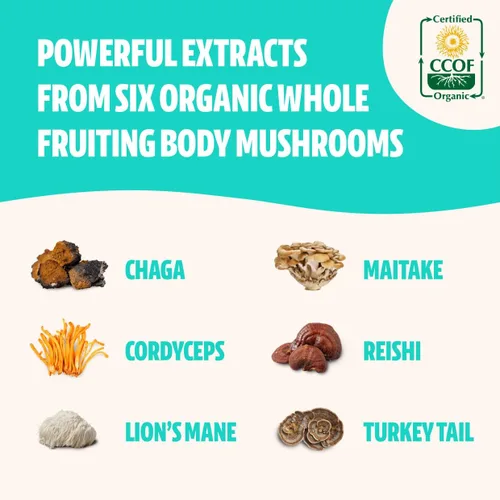 Vista 4 de FreshCap Mushrooms Paquete energético (cápsulas Cordyceps y cápsulas de complejo de hongos definitivos)