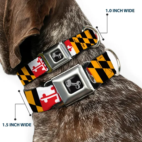 Vista 2 de Collar de perro hebilla de cinturón de seguridad Maryland Banderas 9 a 15 pulgadas 1.0 pulgadas de ancho