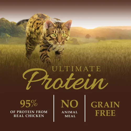 Vista 3 de Instinct Ultimate Protein - Receta de pollo sin granos, comida seca natural para gatos, bolsa de 4 libras
