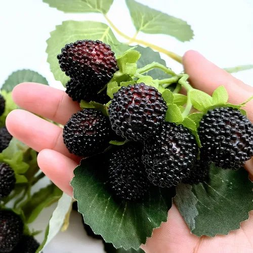 Vista 5 de M2cbridge 4 piezas artificiales de bayas rojas frambuesas de frutas falsas BlackBerry Props decoración de mesa (negro)