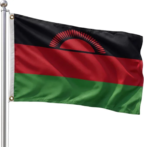 Vista 40 de DMSE - Bandera nacional beninesa beninesa de la República de África Occidental, 2 x 3 pies, 100 % poliéster, 100 % poliéster, resistente a los rayos